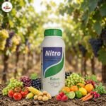 Nitro واحد لتر مغذى عام للنبات