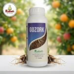 Gozorak واحد لتر اقوى حل لتنشيط الجذور